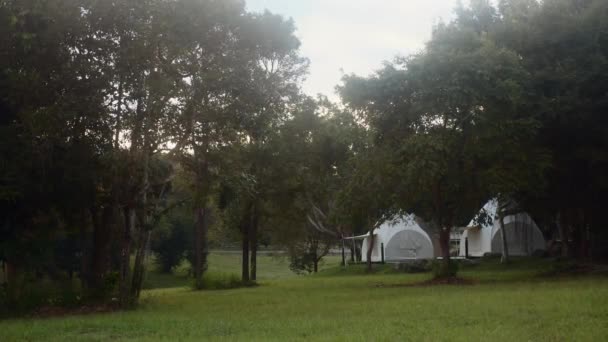 Fénylő sátrak. Fancy modern fehér sátrak állni zöld gyep az erdőben hajnalban — Stock videók
