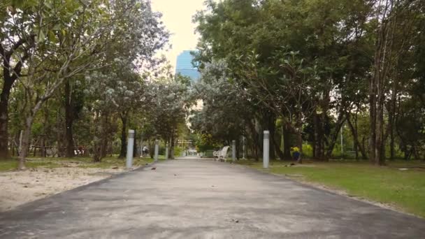 Ποδηλασία στο πράσινο πάρκο της πόλης με σύγχρονα κτίρια ουρανοξύστες στο παρασκήνιο — Αρχείο Βίντεο