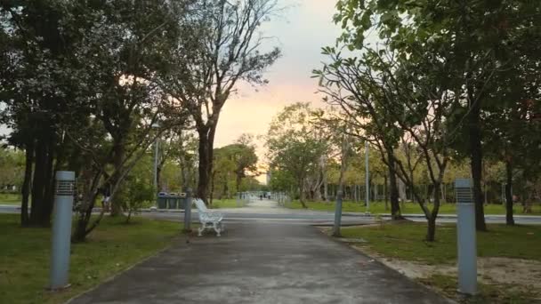 Pihenjen a zöld városi parkban, gyönyörű rózsaszín naplementével a háttérben. Lassú mozgás. — Stock videók