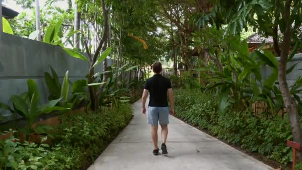 Utazó ember alkalmi séta az ösvényen pálmafák között modern luxus üdülőhelyen — Stock videók