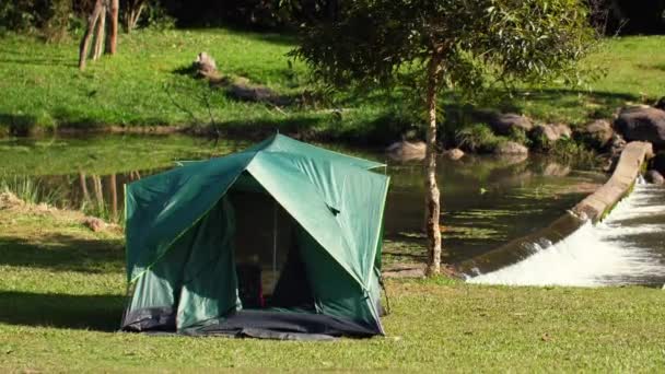 야영장 지역의 녹색 텐트. 자연을 즐기고, 공원에서 휴가를 보내고, 숲에서 휴가를 보내라 — 비디오
