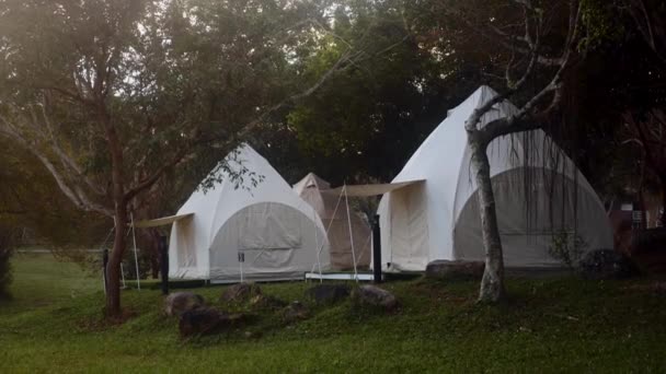 Glamping camping tent in the forest on misty summer morning, Romantic trip — Video Stock