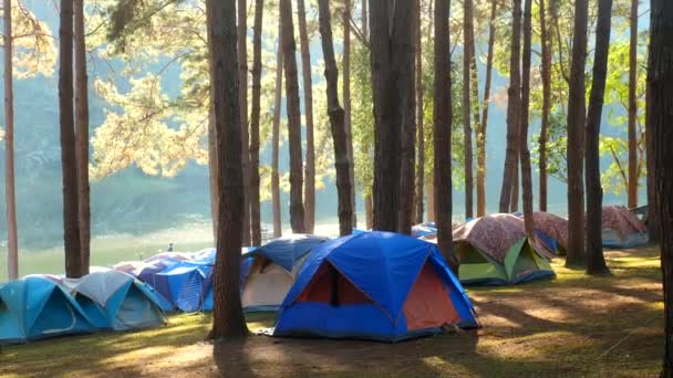 Кемпінг і намет під сосновим лісом біля озера з красивим сонячним світлом — стокове відео