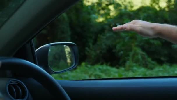 Беззаботный автомобиль путешествовать по дороге, протягивая руку и играет с ветром на закате — стоковое видео