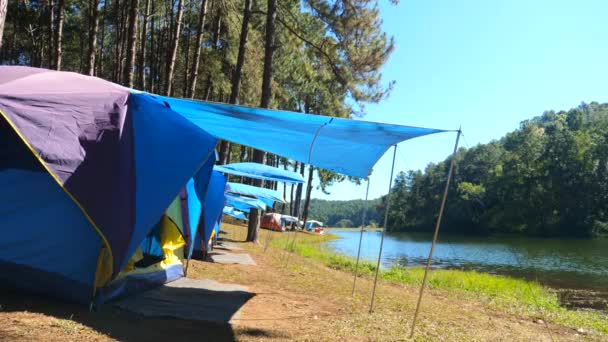 Zelte stehen in Flussnähe im Wald mit Kiefern. Sommerferien — Stockvideo