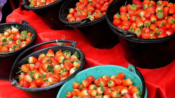 Lokale Thaise markt met verse oogst aardbeien. Aardbeienseizoen — Stockfoto