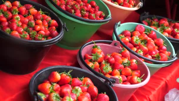 Wiadra z czerwonymi dojrzałymi truskawkami na sprzedaż na targu. Sezon truskawek — Wideo stockowe