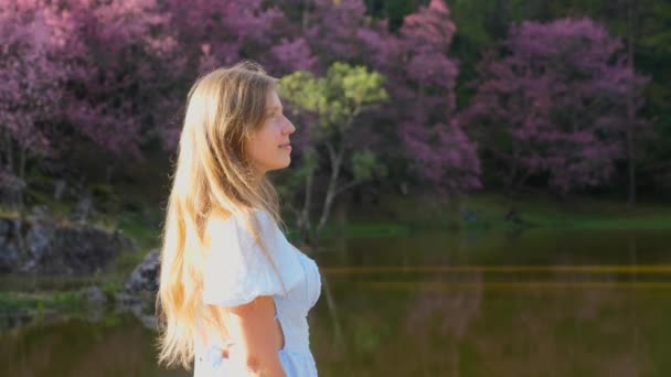 Mujer de viaje en vestido disfrutar de la hermosa naturaleza y flores de color rosa árbol en flor — Vídeo de stock