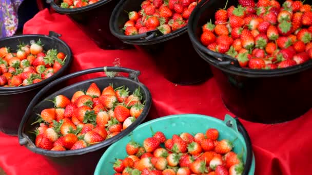 Mercado tailandés local con fresas frescas de cosecha. Temporada de fresas — Vídeos de Stock