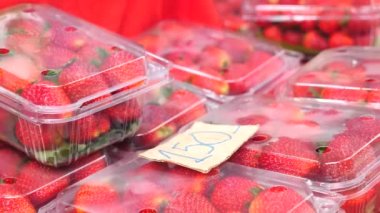 Yerel çiftçi pazarında plastik kutulardaki organik taze çilekleri kapatın.
