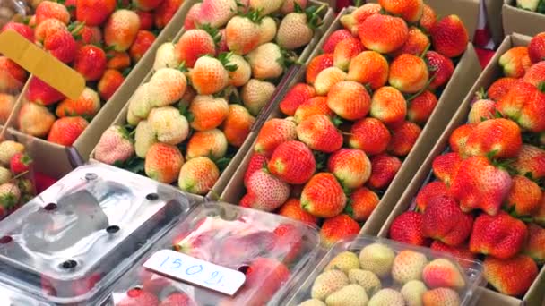 Fruit local market. Ripe and unripe strawberries are sold in cardboard boxes — Stock Video