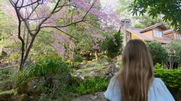 Vista posteriore della donna in abito blu che cammina sul sentiero in giardino con sakura rosa — Video Stock