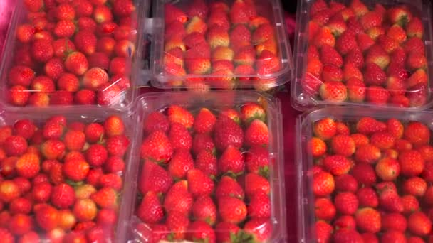 Cajas de plástico llenas de fresas frescas maduras en el mostrador del mercado de frutas — Vídeo de stock