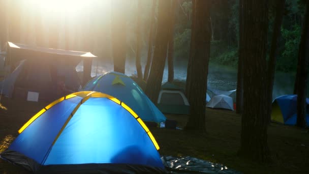 Кемпінг і синій намет в сосновому лісі біля озера з красивим сонцем на світанку — стокове відео