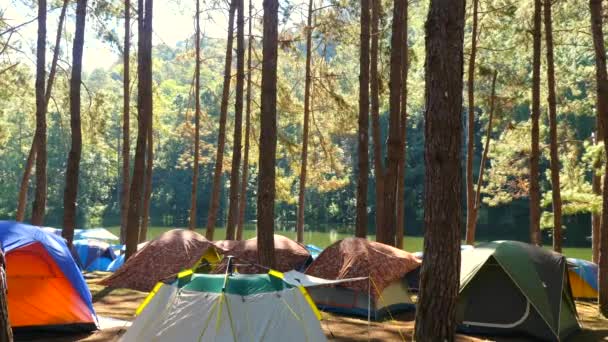 Weg vom städtischen Leben, hin zur natürlichen Umwelt. Zelte auf dem Campingplatz — Stockvideo