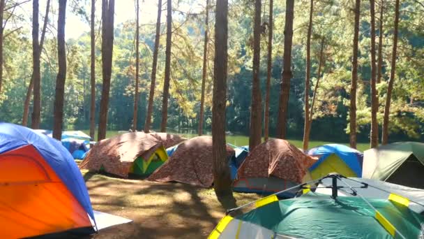 Eğlence aktivitesi, doğada rahatlama, ormandaki kamp çadırlarında dijital detoks. — Stok video