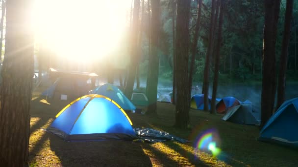 Палаточный лагерь в утреннем свете на рассвете рядом с туманной рекой — стоковое видео