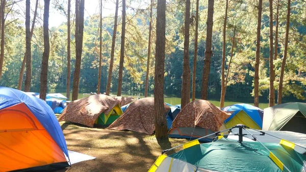 Atividade recreativa, relaxar na natureza, desintoxicação digital em tendas de acampamento na floresta — Fotografia de Stock