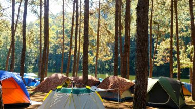 Kentsel yaşamdan doğal çevreye geçmek. Kamp alanı.