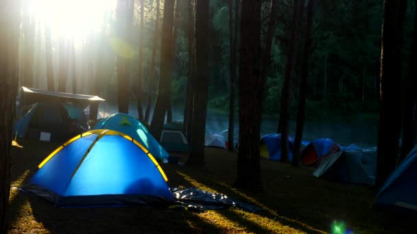 Puslu bir ormanın altında sisli bir gölün yanında kamp yapıp çadır kuruyorlar. — Stok video