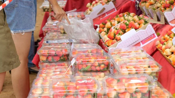 Lokale buitenmarkt met verse rode aardbeien. Klant koopt bessen — Stockfoto