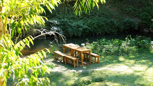 Дерев'яний стіл і лавки біля річки серед тропічних дерев і зелені — стокове фото