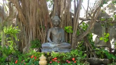 Beyaz Tapınak bölgesindeki tropikal ağaçlar ve banyan ağaçları arasında Buda heykeli
