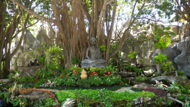 Statue de Bouddha parmi les arbres tropicaux et les banyans sur le territoire du Temple Blanc — Video