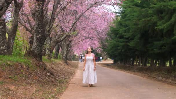 Mulher de vestido branco desfrutar sakura florescendo no jardim, flor de árvore de cereja primavera — Vídeo de Stock