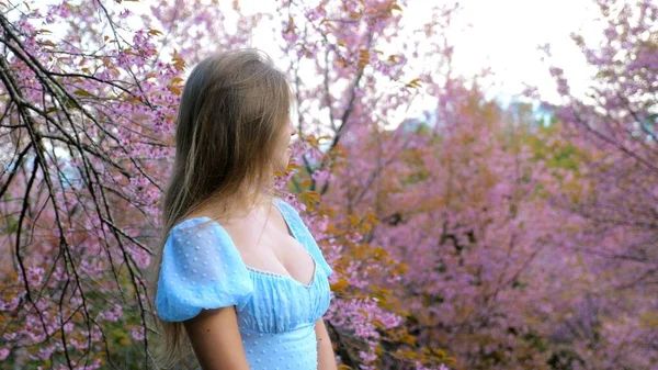 Vista lateral da mulher em vestido azul no jardim com árvore de flores de cereja — Fotografia de Stock