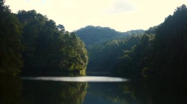 Akşam manzarası, gün batımında yeşil çam ormanlarının arasında bir dağ gölü.