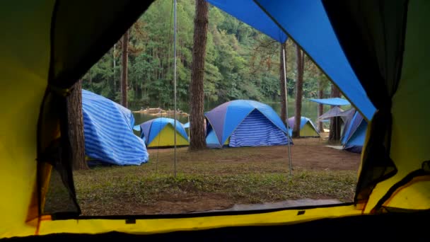 Вид изнутри палатки на кемпинг, сосновый лес с деревьями и озеро — стоковое видео