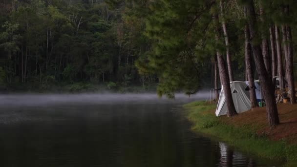 Кемпінгові намети в лісі біля туманного озера. Люди відпочивають на природі — стокове відео