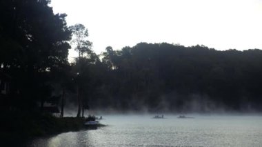 Sisli bir nehirde şafak vakti ya da gölde sabahın erken saatlerinde. Ormanda alacakaranlık
