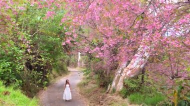Beyaz elbiseli kadın bahçedeki kiraz ağacının çiçek açmasından zevk alır.
