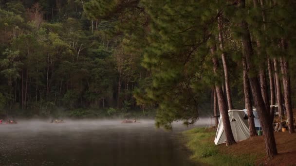 Кемпінгові намети в кемпінгу в лісі біля туманної річки. Подорожі стиль життя — стокове відео