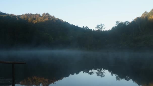 Tidig morgon vid en dimmig flod. Lugn, fridfullt landskap. Friluftsliv — Stockvideo