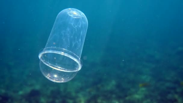 Підводний пластиковий коктейль, який плаває у кришталево-блакитній воді на сонячних променях з тропічними рибами та кораловими рифами на фоні. Концепція проблем забруднення навколишнього середовища пластиком. Сміття і відходи в морі . — стокове відео