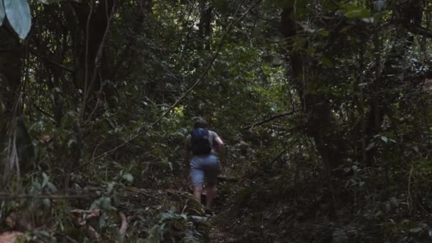 バックビュー暗い森の公園で30代の男性ハイカー 危険な冒険と旅行 神秘的な木の間でトレイル上のバックパックハイキングを持つ男 夕暮れ時の森林公園の自然を歩くバックパッカーの観光客 — ストック動画