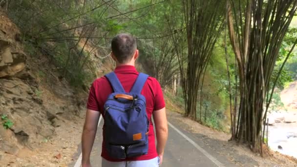 Man Backpack Walking Road Forest Back View Male Traveler National — Stock Video