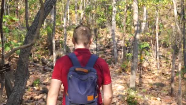 旅行や冒険のハイカー千年の旅行者 旅人は秋の森を歩いている 自然の中でのコンセプトの美しさと平和 自然公園を探索する若い冒険家の映画撮影 — ストック動画