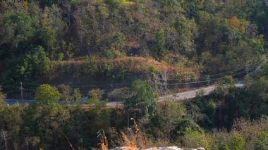 Yeşil ormanın arasındaki dağ yolu. Asfalt yol ve yeşil orman, otomobil macerası manzaralı ormandan geçen yol, sağlıklı bir çevre, ekosistem ve ekoloji kavramları.