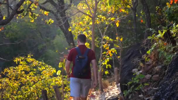 Hombre Mediana Edad Con Mochila Excursión Trekking Camino Bosque Parque — Vídeo de stock