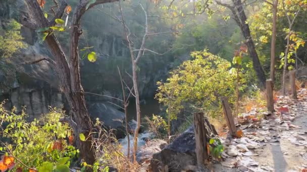 Trilha Florestal Pôr Sol Com Vista Para Rio Cânion Natureza — Vídeo de Stock