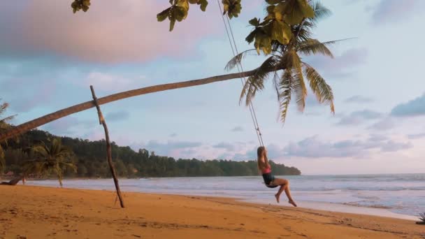 Молодая Женщина Качающаяся Качелях Пальмы Песчаном Пляже Тропическом Море Свете — стоковое видео