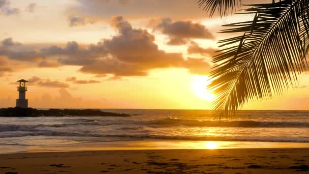 Золотий Захід Над Океанічними Хвилями Промиває Пісок Тропічного Пляжу Пожадливість — стокове відео
