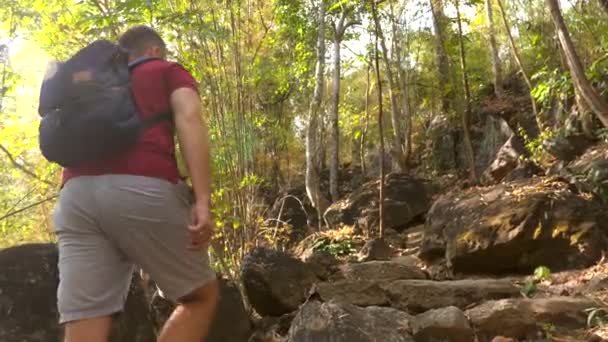 山の頂上に登るカジュアルバックパッカーの男 森の歩道を歩く旅行男 日没時に30人のハイキング 冒険とアクティブなライフスタイル — ストック動画