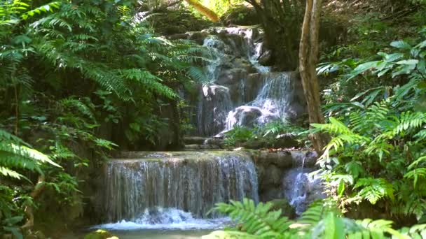 緑のジャングルの森の真ん中に壮大な滝 タイの国立公園で熱帯雨林の美しい自然滝 晴れた日に庭のカスケード滝の眺め スローモーション — ストック動画
