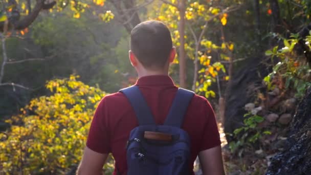 日没時 バックビュー中の森の中でトラック上の大人の男性観光客の散歩 バックパック付きの若い男は 自然公園 リアビューで森の中をハイキングやトレッキングに行きます 観光の概念 — ストック動画