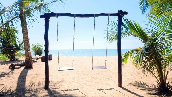 Empty Swing Swinging Sandy Tropical Beach Turquoise Sea Green Palm — Stock Photo, Image